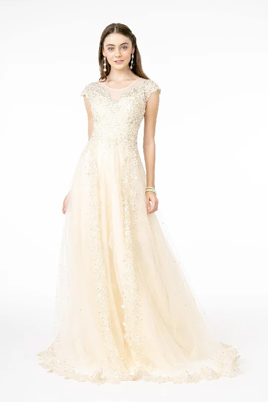 Instant Savings Await!Instant Savings Await!Embroidered Mesh A-Line Long Dress with Sheer Back Instant Savings Await!Instant Savings Await!Embroidered Mesh A-Line Long Dress with Sheer Back